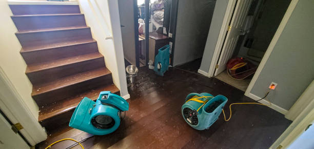 Best Water damage restoration near me  in Princeton, FL