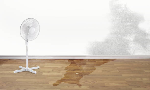 Professional Water damage restoration in Princeton, FL