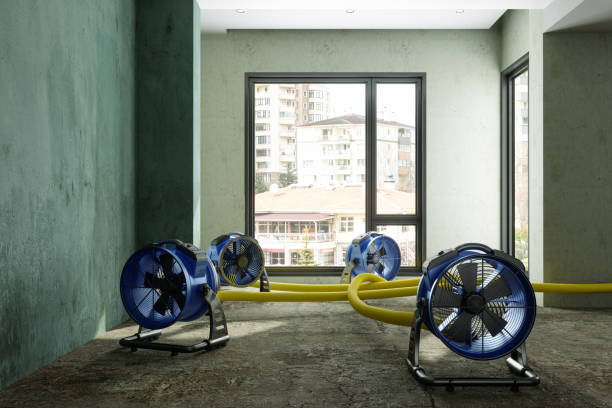 Best Water damage restoration experts  in Princeton, FL